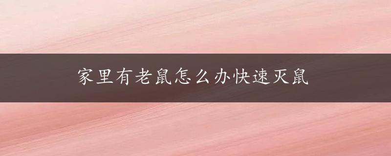 家里有老鼠怎么办快速灭鼠