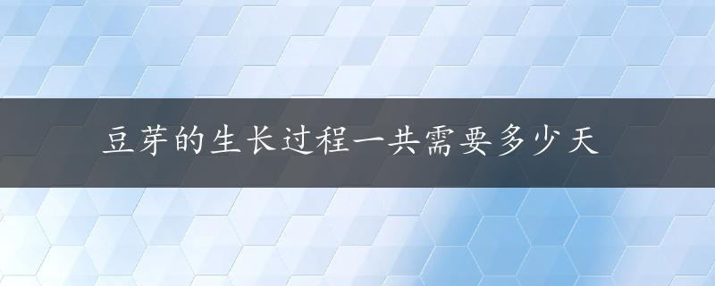 豆芽的生长过程一共需要多少天