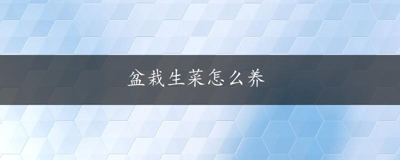 盆栽生菜怎么养