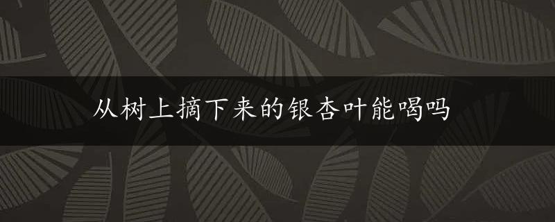 从树上摘下来的银杏叶能喝吗