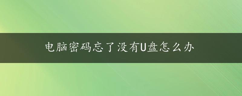 电脑密码忘了没有U盘怎么办