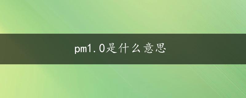 pm1.0是什么意思