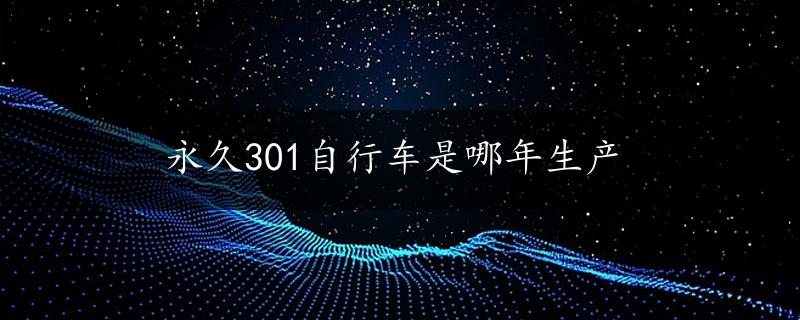 永久301自行车是哪年生产