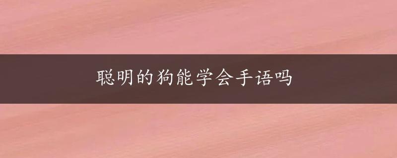 聪明的狗能学会手语吗