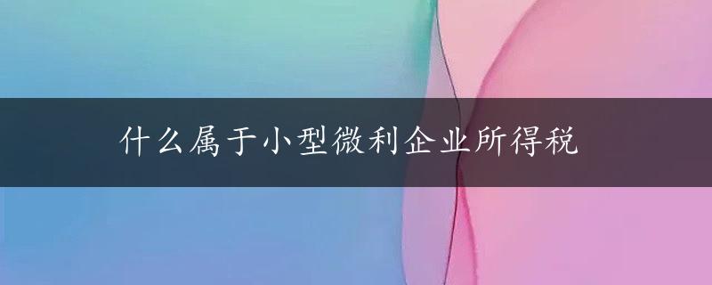 什么属于小型微利企业所得税