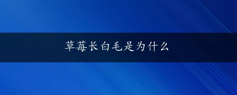 草莓长白毛是为什么