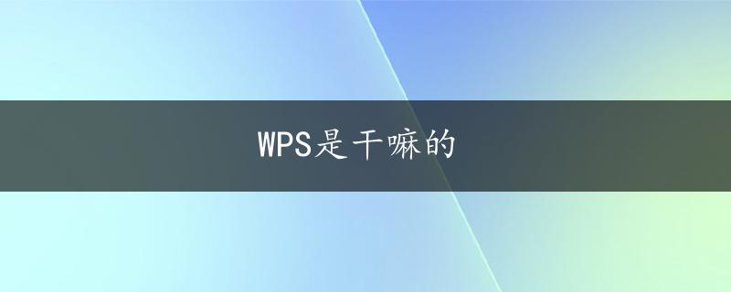 WPS是干嘛的