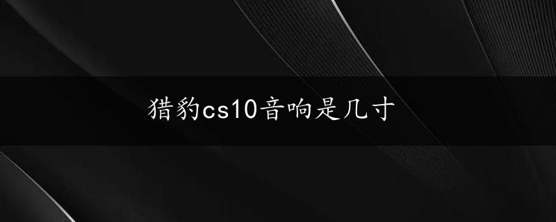 猎豹cs10音响是几寸