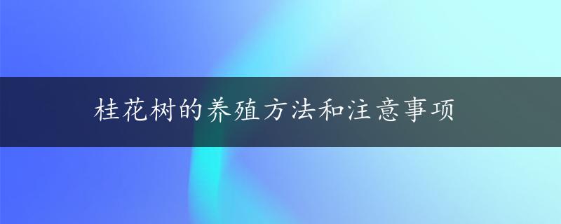 桂花树的养殖方法和注意事项