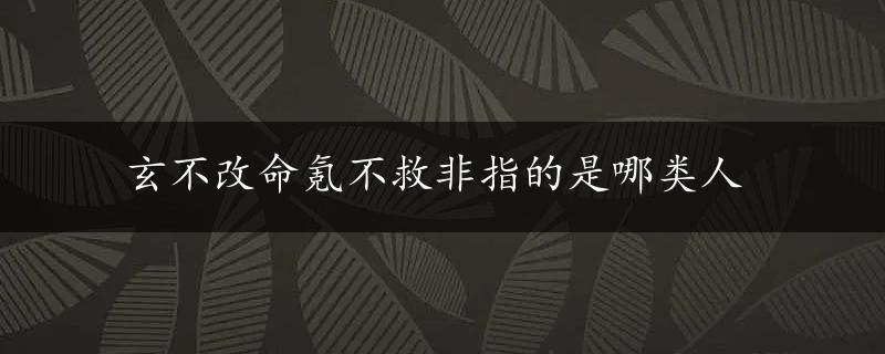 玄不改命氪不救非指的是哪类人