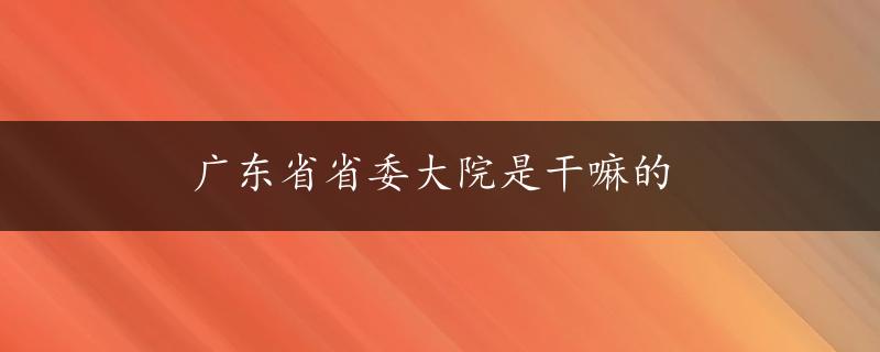 广东省省委大院是干嘛的