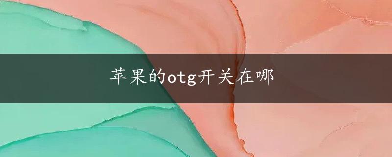 苹果的otg开关在哪