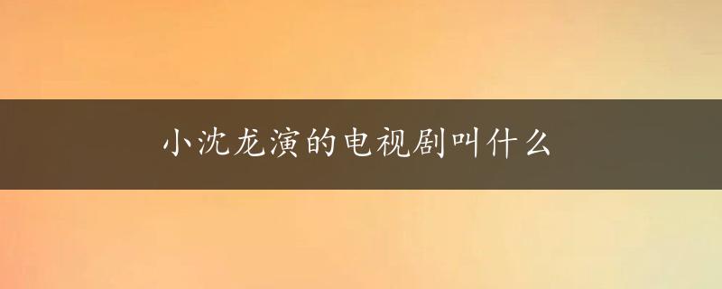 小沈龙演的电视剧叫什么