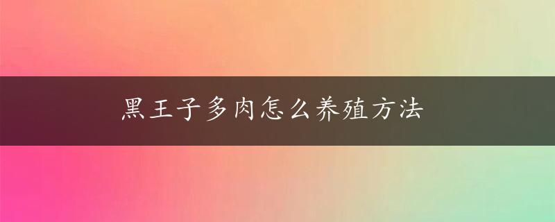 黑王子多肉怎么养殖方法