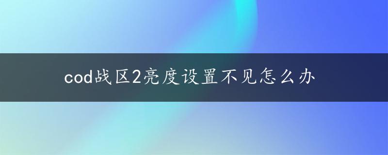 cod战区2亮度设置不见怎么办