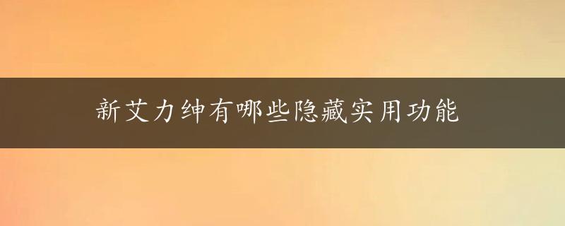 新艾力绅有哪些隐藏实用功能