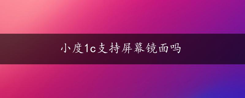 小度1c支持屏幕镜面吗