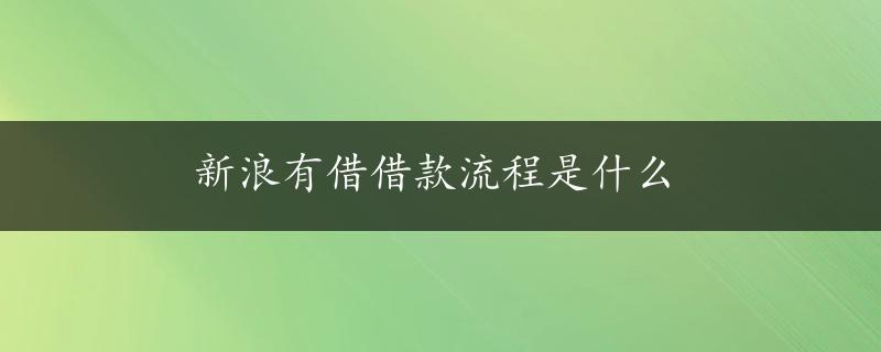 新浪有借借款流程是什么