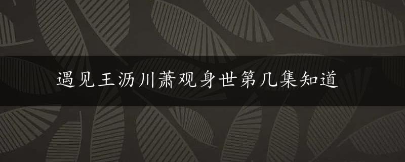 遇见王沥川萧观身世第几集知道