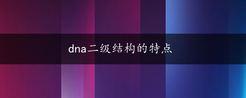 dna二级结构的特点