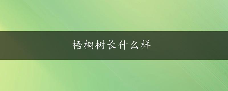 梧桐树长什么样