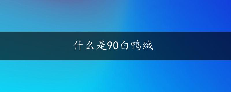 什么是90白鸭绒