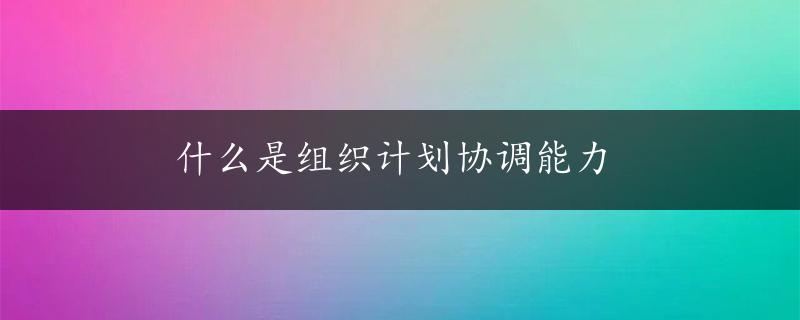 什么是组织计划协调能力