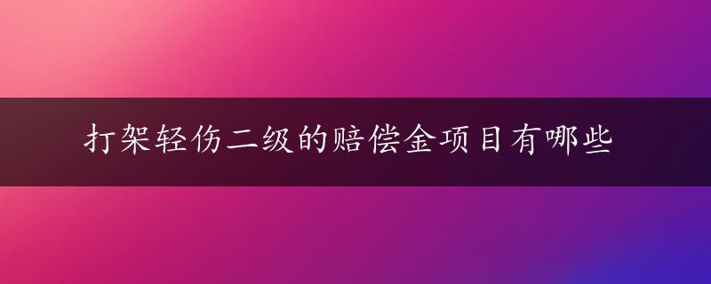 打架轻伤二级的赔偿金项目有哪些