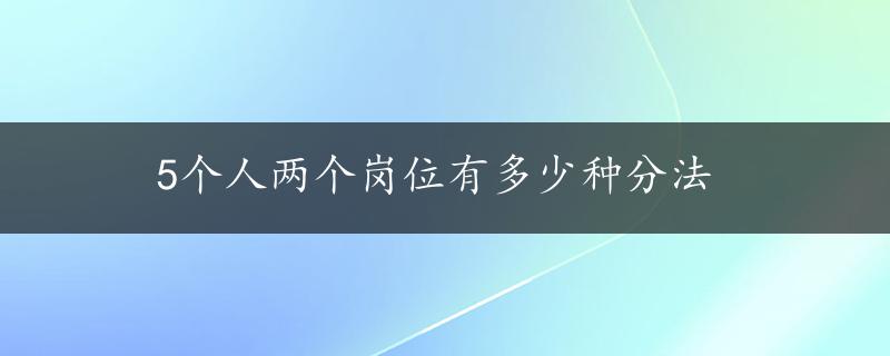 5个人两个岗位有多少种分法