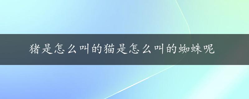 猪是怎么叫的猫是怎么叫的蜘蛛呢