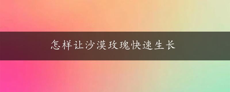 怎样让沙漠玫瑰快速生长