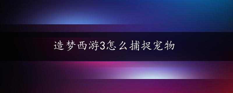 造梦西游3怎么捕捉宠物