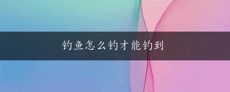 钓鱼怎么钓才能钓到