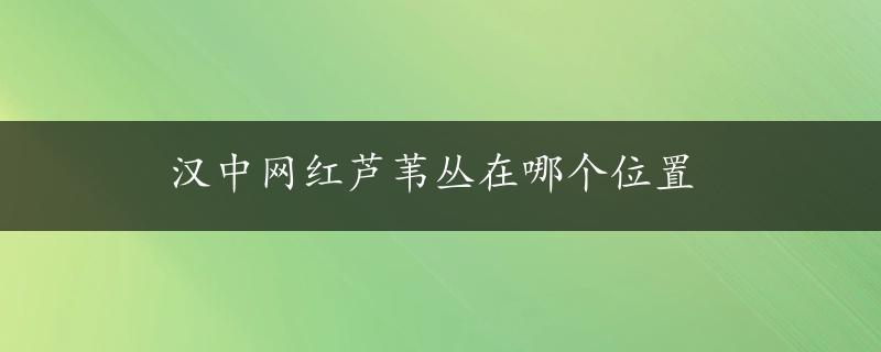 汉中网红芦苇丛在哪个位置