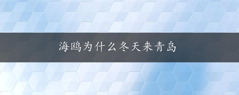 海鸥为什么冬天来青岛