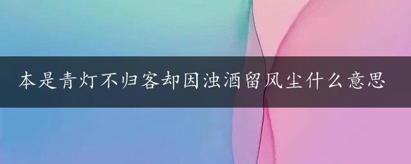 本是青灯不归客却因浊酒留风尘什么意思