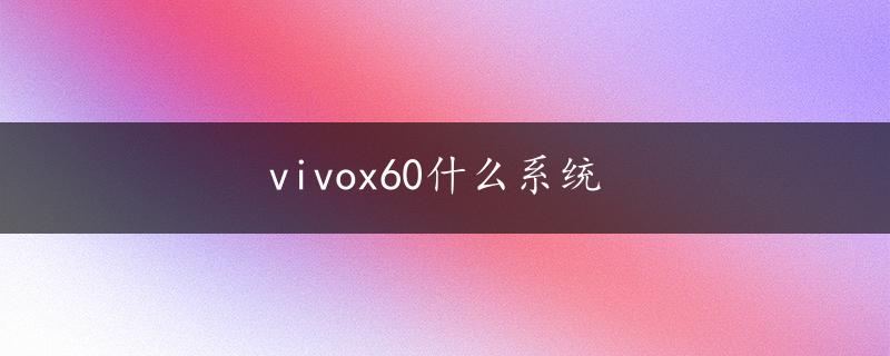 vivox60什么系统