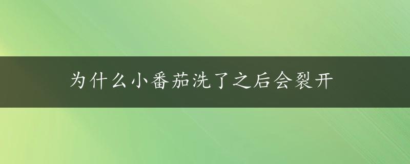 为什么小番茄洗了之后会裂开