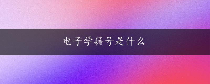 电子学籍号是什么