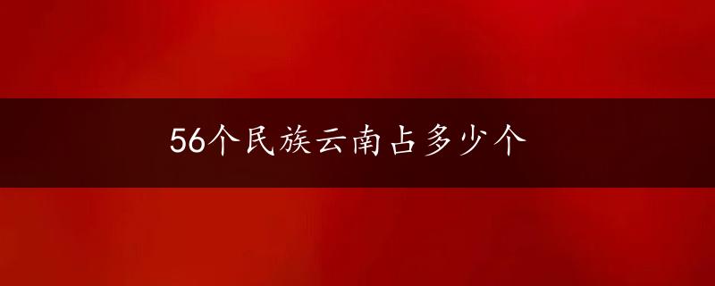 56个民族云南占多少个