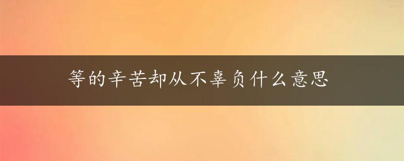 等的辛苦却从不辜负什么意思