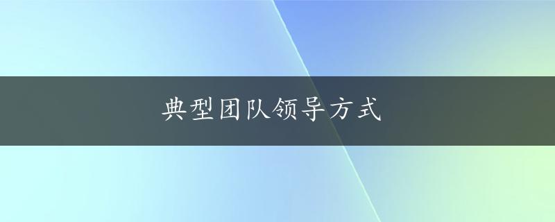 典型团队领导方式