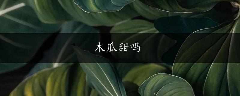 木瓜甜吗