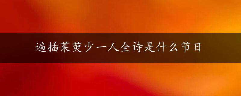 遍插茱萸少一人全诗是什么节日