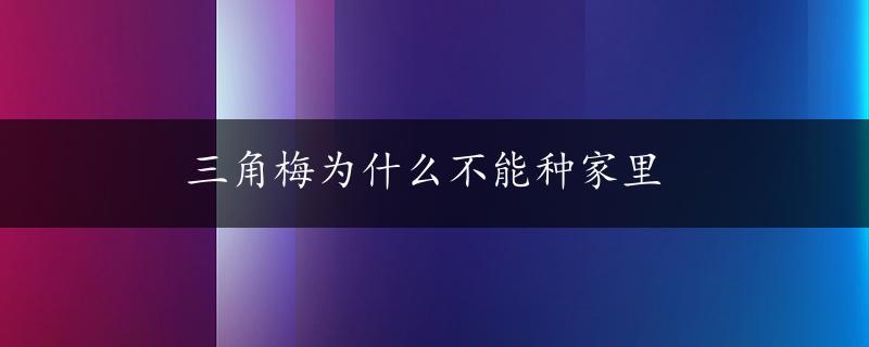 三角梅为什么不能种家里