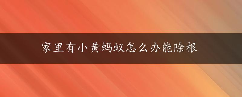 家里有小黄蚂蚁怎么办能除根