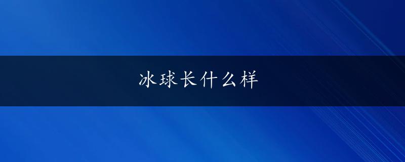 冰球长什么样