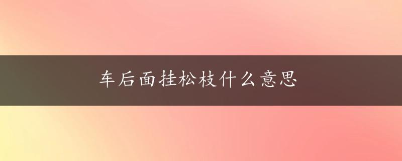 车后面挂松枝什么意思