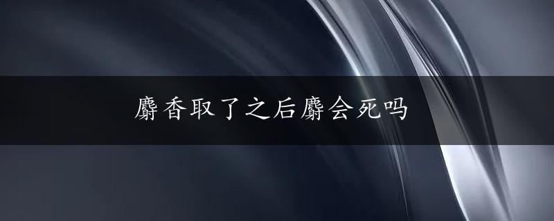 麝香取了之后麝会死吗