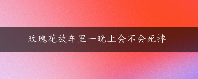 玫瑰花放车里一晚上会不会死掉